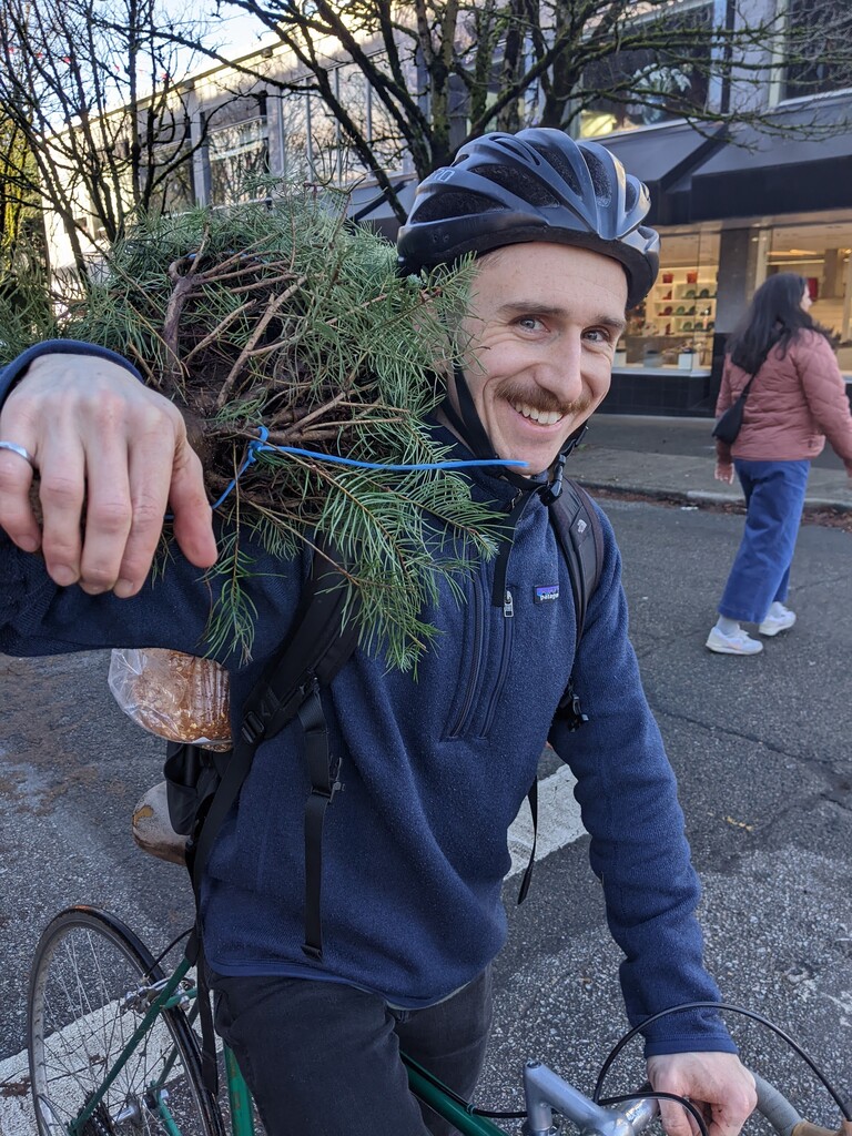 Chrismas tree delivery (2023)